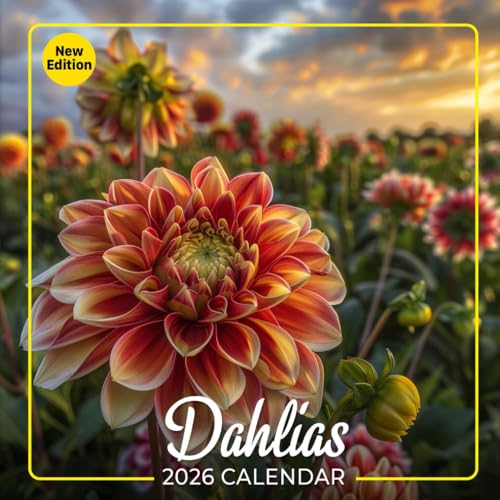 Dahlias Calendar 2026: Vibrant and Bold Floral Designs to Energize Your Days