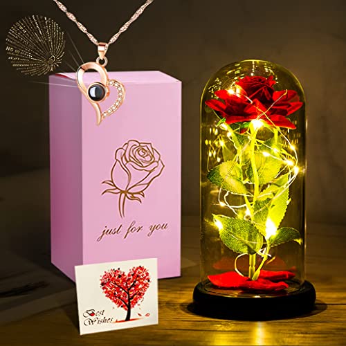 Die Schöne und das Biest Rose Geschenk Kit, Rose im Glas, Ewige Rose mit...
