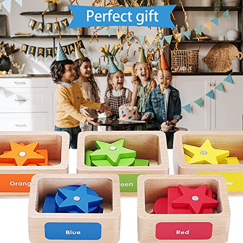Ccmtanghong Montessori Toy Color Sorting & Shape Sorter Toys，2-In-1 Sorting Cup&Fishing Game Preschool Fishing Game Toy Set Educational Hand-Eye Coordination Training Toys For 1-6Years Boys Girls #TOP6