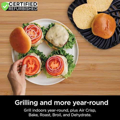 Ninja EG201 Foodi Summary