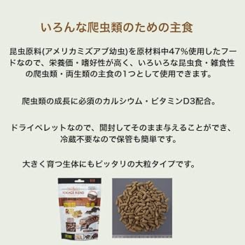 Amazon | 爬虫類フード GEX EXOTERRA トカゲブレンドフード200g