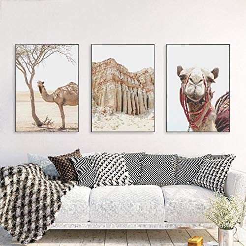 Toile peinture d'art mural imprimé 3 pièces chameau du désert triptyque sans cadre 50x70cm STUKE