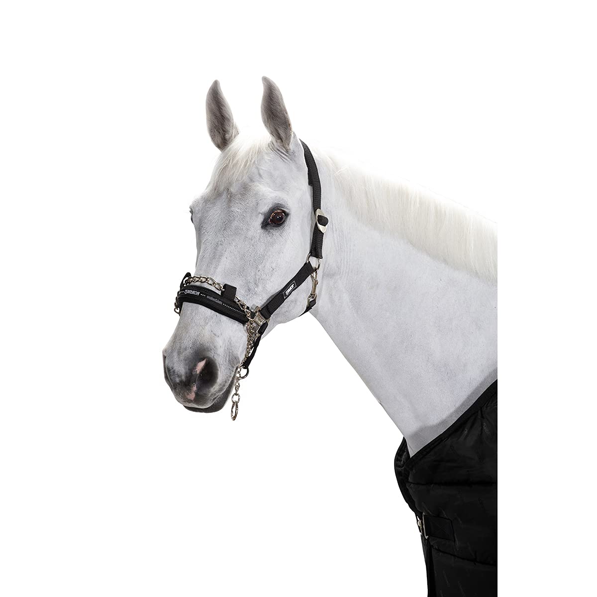 Eskadron - Headcollar with Lead Chain Control