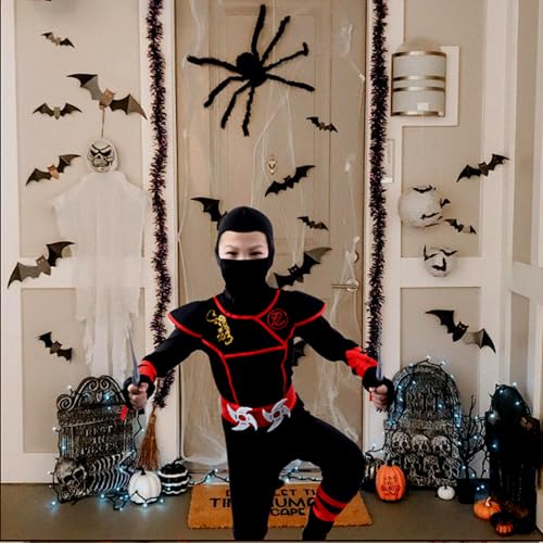 Photo complémentaire