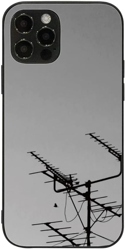 Amazon Co Jp Iphone Se 第3世代 用 スマホケース 背面 ガラス ブラック 薄型 スマホカバー Pg249 Z 空 夕暮れ 屋根 電気 クール かっこいい メンズライクなデザイン スマートフォン スマートホン 携帯 ケース Ipse3 Iphonese3 カバー アイフォンse3 アイフォンケース