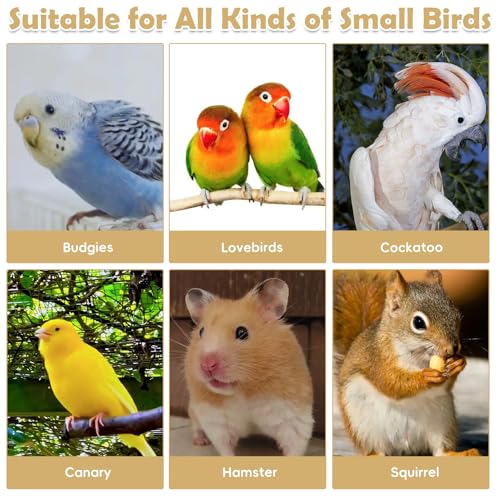 Image of kathson 12 Pcs Wooden Bird Cage Platform Flat Birds Perch Stand Rectangle Parrot Perch with Washers for Bird Paw Grinding Cockatiel Cage Accessories for Parrot, Budgies, Conure, Lovebirds