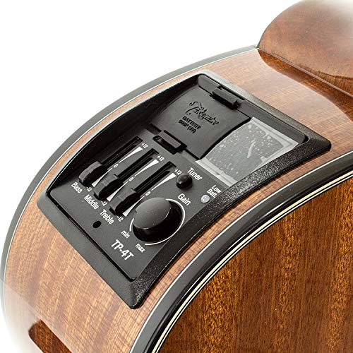 TAK-GSY11ME-NG Chitarra acustica new yorker elettrificata
