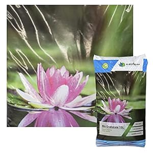 Plantenmand set planthulp waterplanten verschillende maten ideaal voor tuinvijver – goed geschikt voor vijverplanten…