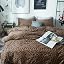 Brwon Leopard