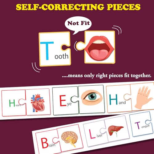 Image of Human Body Jigsaw Puzzle Connecting 2-Piece (Set of 21 pcs) for Kids, Childrens and Toddlers - Early Learning Educational Brain Booster with Fun and Engaging - Ages 4+