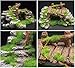 S-Lifeeling Fish Tank Decoration Moss Rockery Stone Plants Wood Ruins Landscaping Turtle Tank Decoration Fish Shrimp Shelter