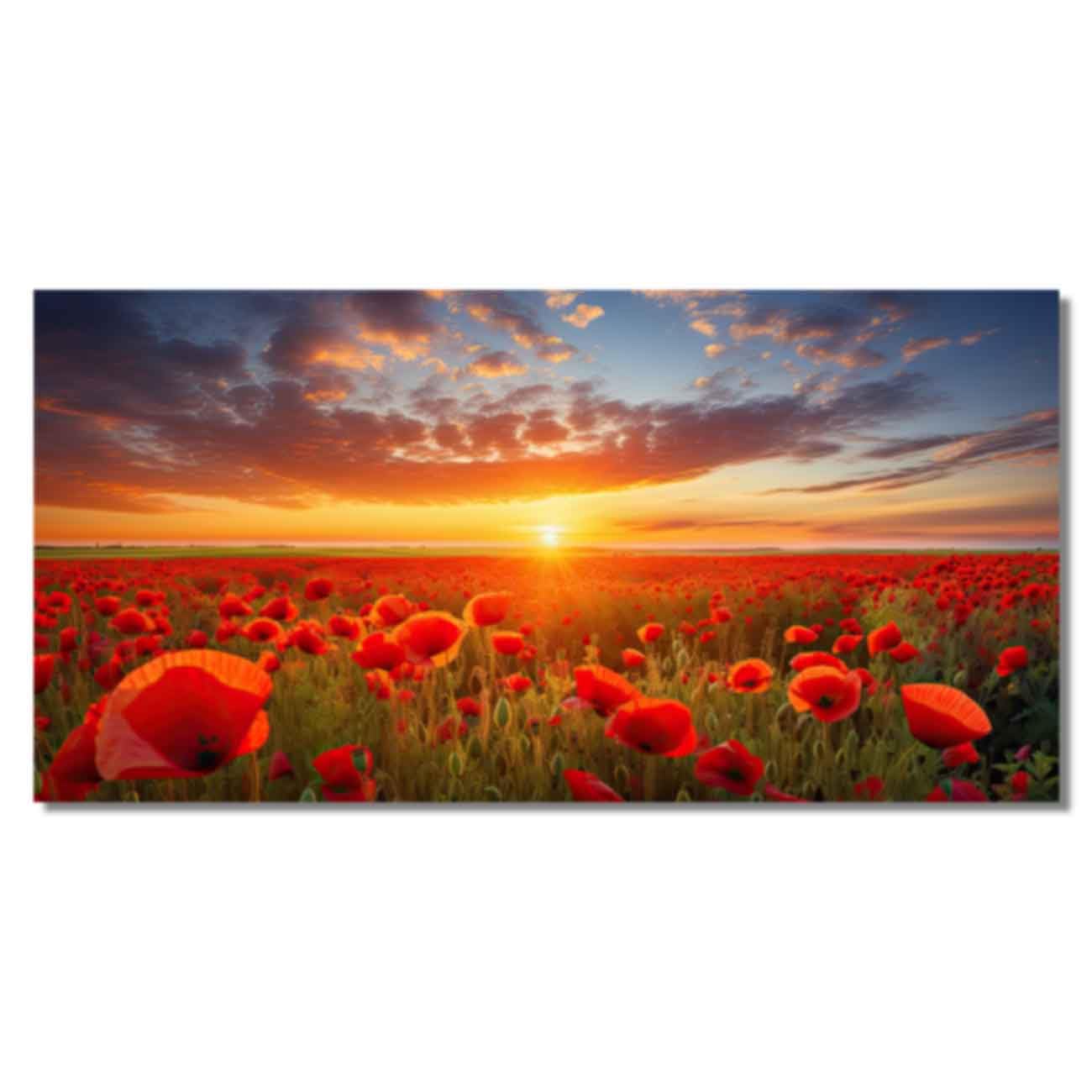 ZQQART Red Poppy Wall Art Elegant Red Poppies Flower Picture Large Poppies Field Painting Canvas Prints for Living Room Landscape Poster (Blue,18.00" x 36.00")