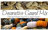 “Decorative Mix” Small and Medium Gourd Seeds – 7+ Varieties / Packet – Warted, Smooth, Striped, Daisy, and More | Cucurbita pepo | Never GMO, Always Heirloom | USA Grown Seeds By Liliana's Garden |