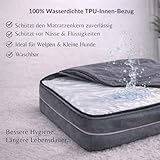 CORTES PETS Orthopädisches Hundebett für Kleine Hunde 61x48 cm -Hundekörbchen - Hundekissen - Waschbar - mit erhöhte Ränder - Hundesofa kleine Hunde – Memory Foam - Wasserfeste Hundebetten