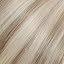 A3-#10P/60-Light Blonde Highlights