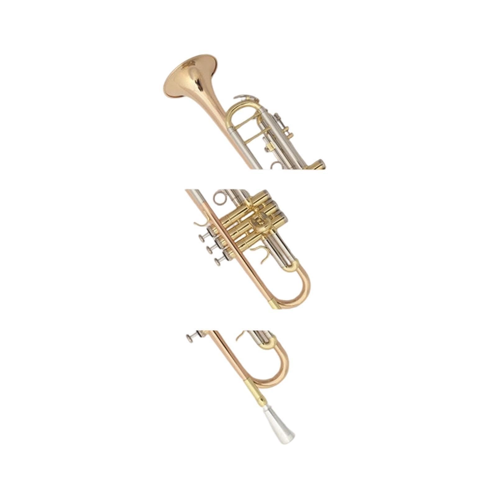 Trumpet Trompeta en si bemol principiante