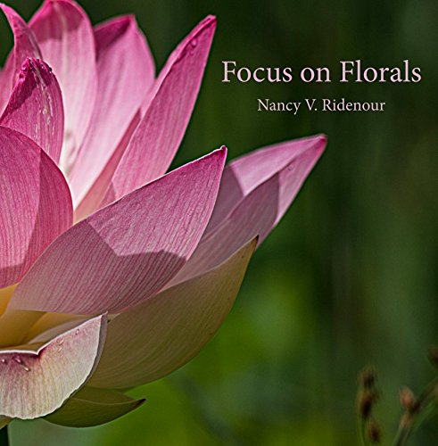 Focus on Florals: Nancy V. Ridenour: 9781389657306: Amazon.com: Books