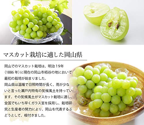 はちやフルーツ マスカット オブ アレキサンドリア 青秀 400g×2房 の商品画像 5