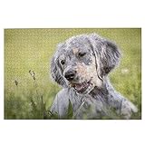setter inglesi cuccioli adozione 🔥 DIMENSIONE PUZZLE: I puzzle includono 1000 pezzi di piccole parti, ognuno è realizzato con precisione e si adatta perfettamente. Potrebbe offrirti ore di divertimento e intrattenimento mettendo insieme questo incredibile puzzle, un passatempo ideale per il divertimento di tutti. Il puzzle completato misura 29,5 x 19,7 pollici / 75 x 50 cm