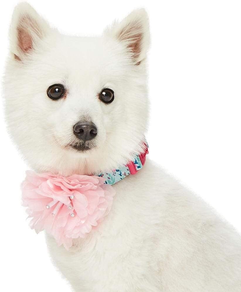 Blueberry Pet Floral Power Lily of The Valley Designer Teal Green Adjustable Dog Collar with Detachable Pink Peony, Medium, Neck 14.5"-20" image 3