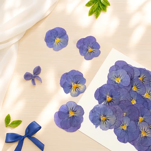 50 flores secas violetas prensadas para moldes de resina y manualidades miniatura 4