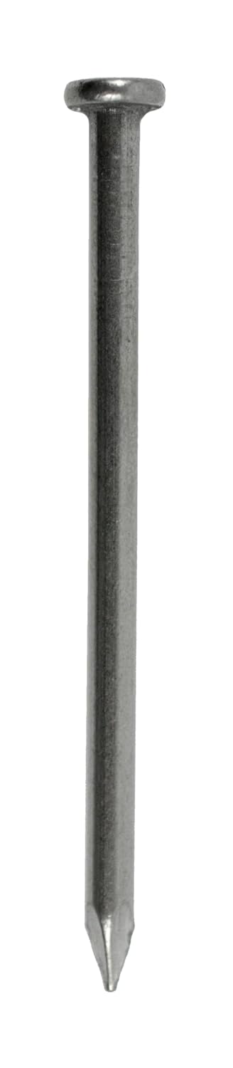 Grip-Rite 8C5#10-1-1/4 x 2-1/2" 8 Penny Bright Steel Smooth Shank Common Nails, 5lb Box