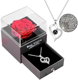 TIED RIBBONS TIED RIBBONS Valentine Gift for Girls Girlfriend Wife Mom Girls Women Friends Anniversary Wedding Valentine Gift Preserved Red Rose Flower Box with I Love You in 100 Languages (Silver Necklace)