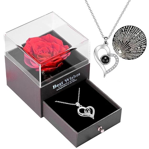 TIED RIBBONS Valentine Gift for Girls Girlfriend Wife Mom Girls Women Friends Anniversary Wedding Valentine Gift Preserved Red Rose Flower Box with I Love You in 100 Languages (Silver Necklace)