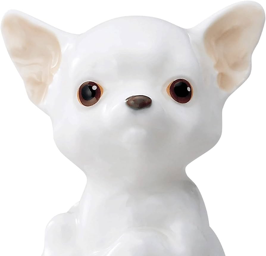 Amazon.co.jp: Noritake ノリタケ 置物 高さ約9cm・幅約7cm 愛犬 Amazon.co.jp: Noritake ノリタケ 置物 高さ約9cm・幅約7cm 愛犬