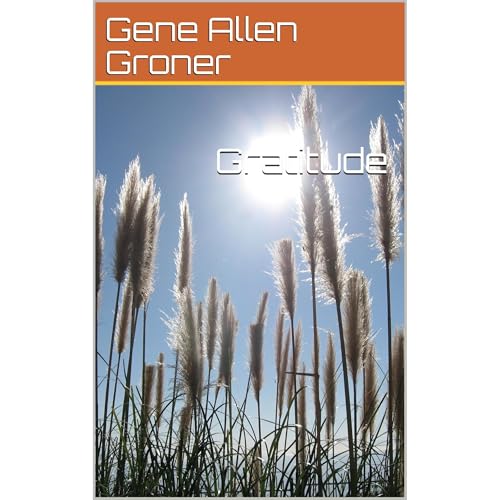 Gratitude Audiolibro Por Gene Allen Groner arte de portada