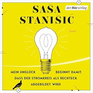 Mein Unglück beginnt damit, dass der Stromkreis als Rechteck abgebildet wird Titelbild