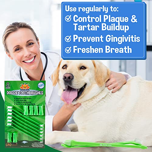 Image of Bodhi Dog Toothbrush Combo Pack - Soft Finger & Dual-Ended Brushes - Gentle Bristles for Dogs & Cats - Easy Teeth Cleaning (6 Long & 6 Finger)