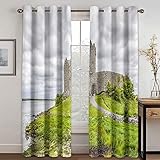 Cortina Habitacion Opaca Termica 2 Piezas 234x230 Cm Cortinas Salon 3D...