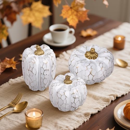 Image of winemana Set of 3 White Pumpkins Fall Decorations for Home | Resin, Textured Neutral Pumpkin, Thanksgiving Centerpiece For Table, Mantel, Porch & Indoor, Farmhouse Autumn Harvest Decor