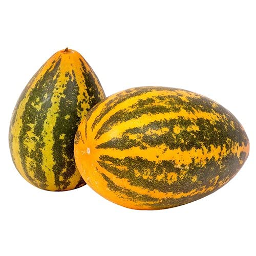 SHOP 360 GARDEN Dosakaya/Sambar Cucumber/Yellow Cucumber Vegetable Seeds for Growing - Pack of 60 Seeds (B09DTDW44B) Amazon Price History, Amazon Price Tracker