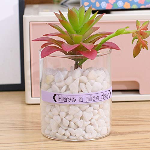 Image of COLORTY TZ-231 12mm Pastel Tape Replacement for Brother P-Touch Label Maker Tape 0.47 inch, Compatible TZe Lamianted Colored Ribbon for Ptouch PT-D200 D210 D220 H110 1000 1280 D400 P300BT Cube, 6 Pack