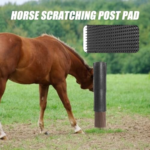 Post d'entretien de chevaux et bétail pour étable et herbage - 4
