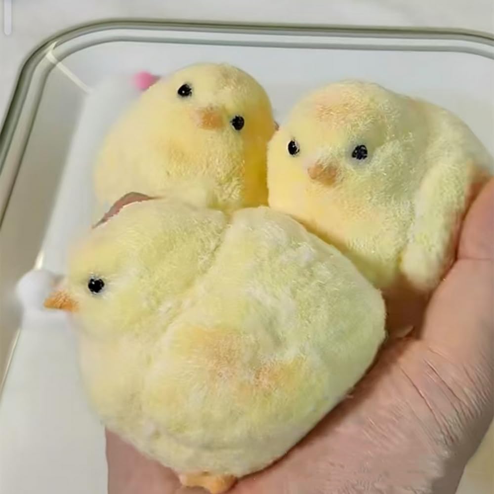 3 Pack Taba Squishy Soft Chick Squeeze Fidget Toys for Stress Relief Sensory Toy,Kawaii Novelty Squishies Toy