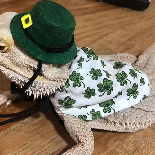 Roupas e chapéu de lagarto, fantasia de cosplay de animais de estimação,Capa e boné de padrão verde
