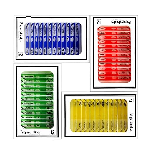 Microscope Sample Prepared Slides 48pc Kids Plastic Prepared Microscope Slides of Animals Insects Plants Flowers Sample Specimens for Stereo Kids Science Toy Educational Toy