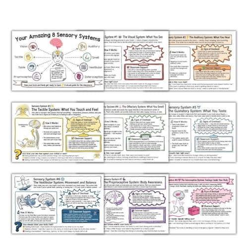 Affiches de système sensoriel pour enfants - Tableaux muraux pédagogiques OT PT