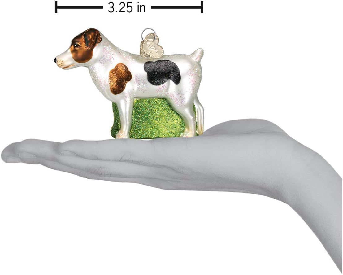 Old World Christmas Jack Russell Terrier Glass Blown Ornament for Christmas Tree, Handcrafted Holiday Decoration, Dog Collection