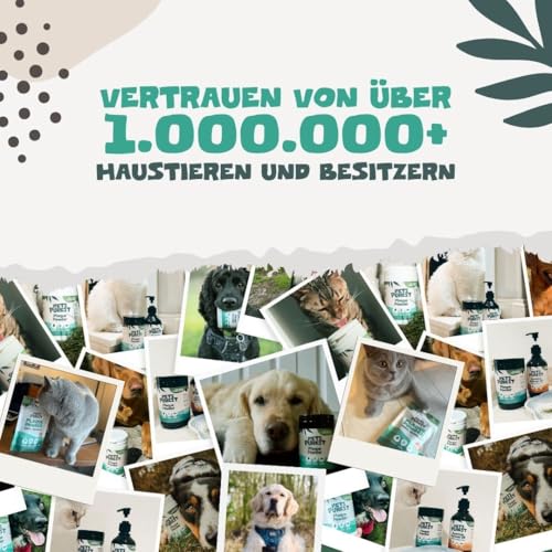 Pets Purest Zahnpflege Pulver - 100% Natürliche Zahnsteinentferner Hund, Katzen & Haustiere 185g. Zahnpflege Katzen & Hunde - für Mundgeruch, Zahnstein & Zahnfleischerkrankungen