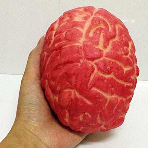 Luoem Halloween Prop Bloody Scary Fake Organ Human Brain Body Parts For Halloween Party Accessories #TOP3