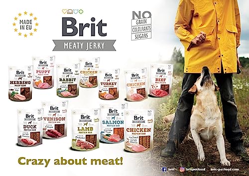 Brit Jerky Salmon Protein Bar Lachs 80g