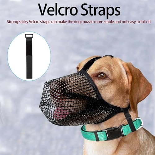 Maulkorb für große Hunde, Maulkorb mittlere Hunde mit Klettverschluss, Atmungsaktive Haustier Maske Hundetraining für Kleine Mittlere große (Schwarz, M)