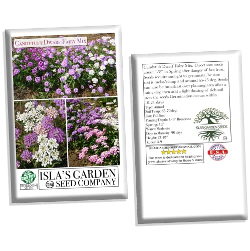 "Dwarf Fairy Mix" Candytuft Flower Seeds For Planting, 300+ Flower Seeds Per Packet, (Isla's Garden Seeds), Non Gmo & Heirloom Seeds, Scientific Name: Iberis, Great Home Garden Gift #TOP6