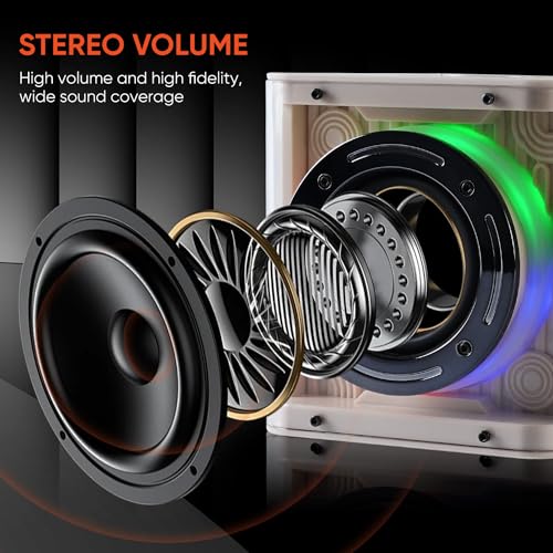 DYNASONIC B52 Karaoke mit Zwei Mikrofonen, Bluetooth-Karaoke-Lautsprecher für Kinder, elektronisches Spielzeug für Kinder (Weiß)