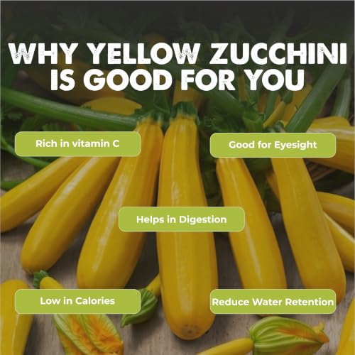 Image of Yellow Zucchini 20+ Vegetable Seeds for Home Garden