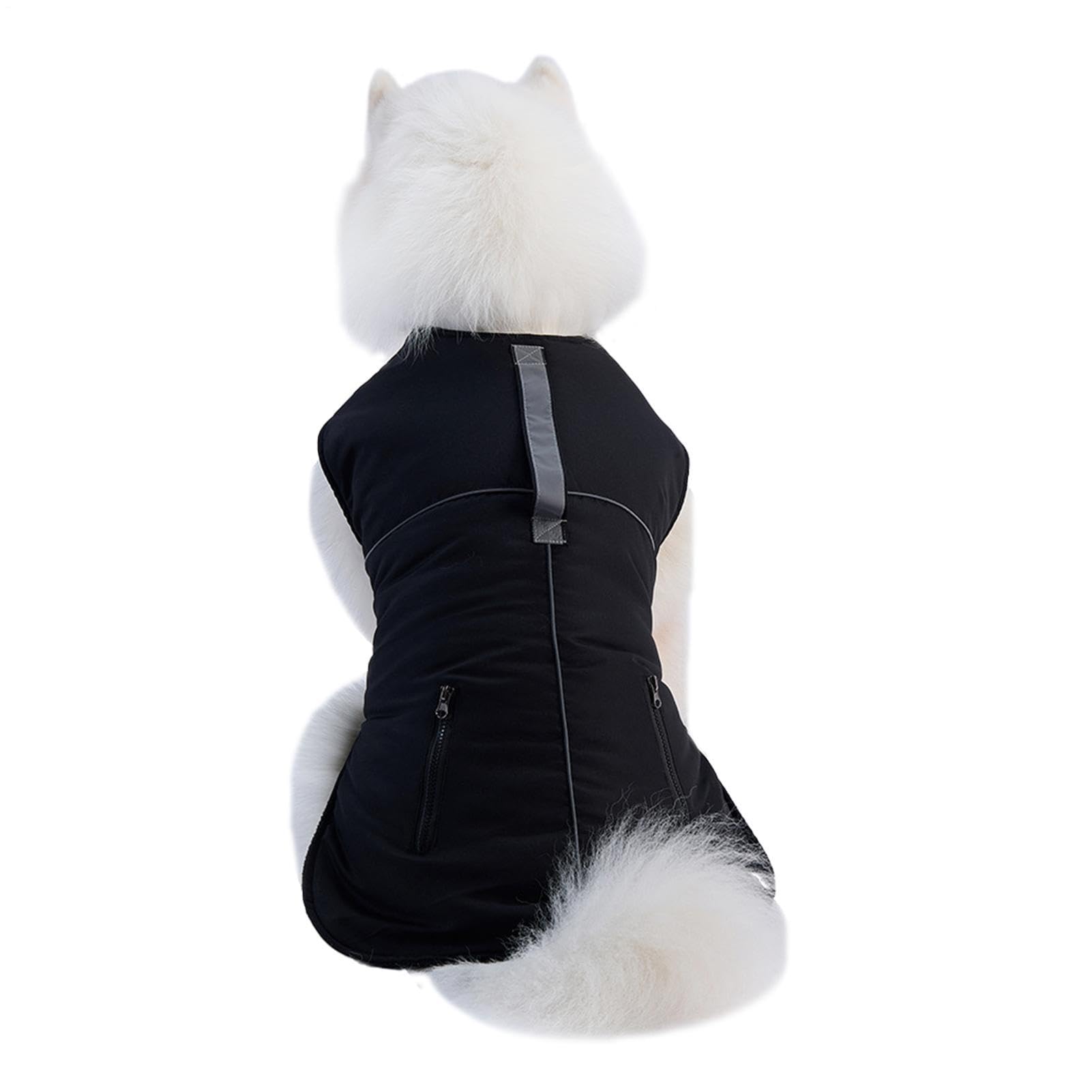 Ropa para perros pequeños que necesitan protección contra el frío